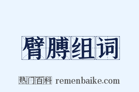 臂膊组词是什么意思的图片